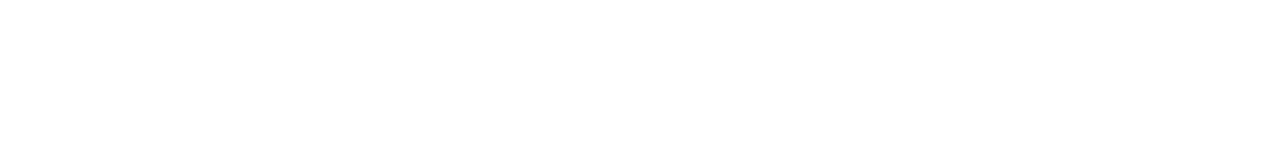 SAFEJETS Logo